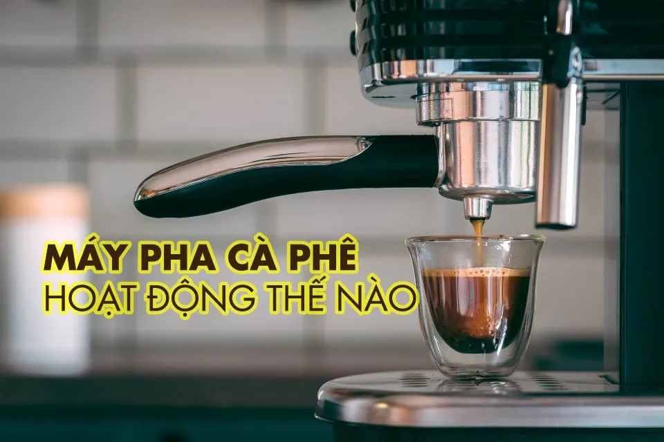 Cách hoạt động của máy pha cà phê